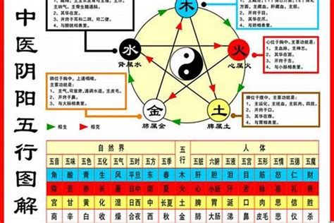 1984生肖五行|84年属鼠是什么命 84年属鼠的人和什么属相合